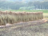 DSCF0024_rs