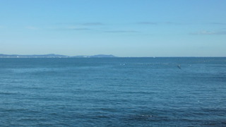 P1010142
