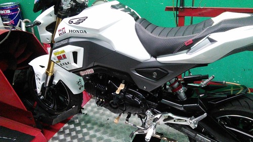 GROM181 ENIGMA008