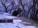 2012_0118_065031-SANY0097