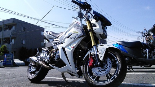 GROM181 ENIGMA019