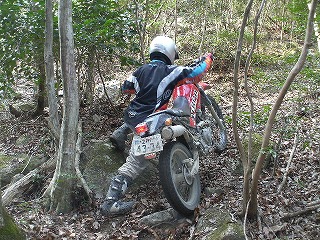 HIMG0041