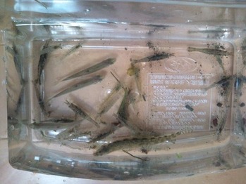 20120512144143[1]