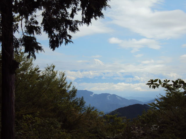 DSC01293