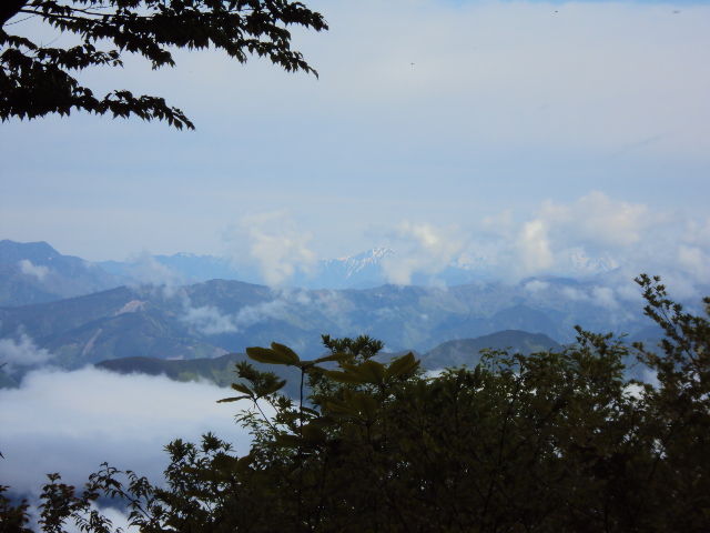DSC01295