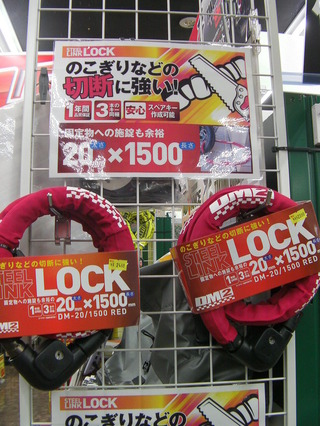SANY0166