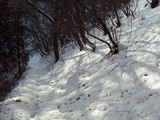DSC00092
