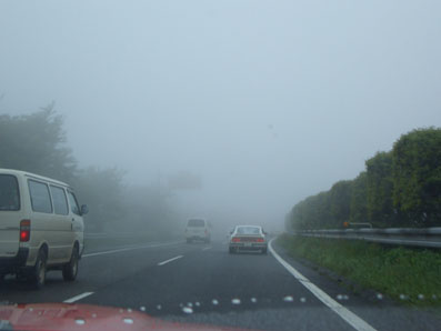 520a8af8.jpg