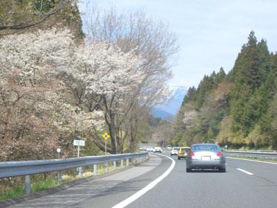 ce59f1f3.jpg
