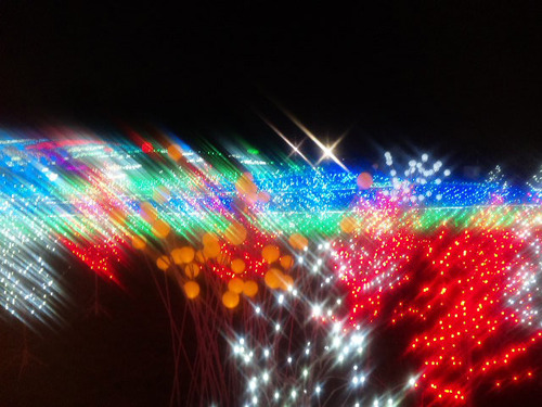 DVC00038