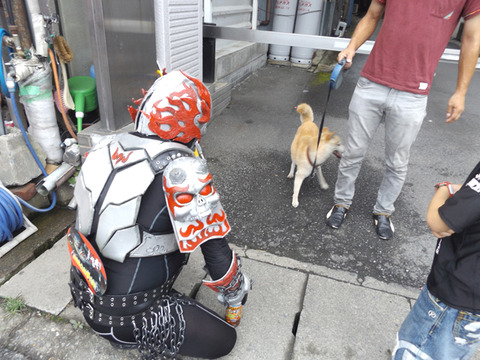 20160717 (11)