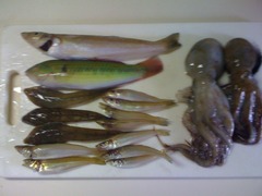 キス_20120623