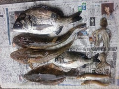 素潜り201505