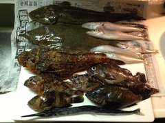 素潜り_20130817