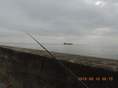DSCN3263