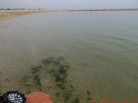 DSCN2498