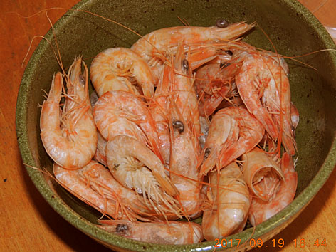 DSCN4553
