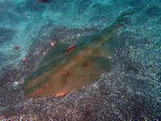P6170091