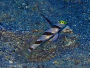 P9290041