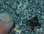 P6040008