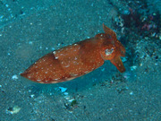 P3180165