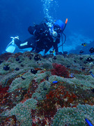 PC170492