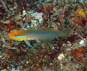 PA030174
