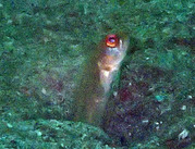 P6020004