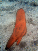 PA010004