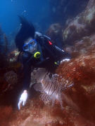 P6280955