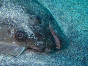 P7130040