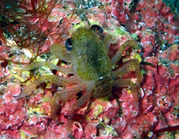 P5070070