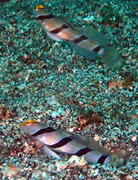 P6270035