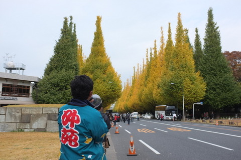 DSCF4228