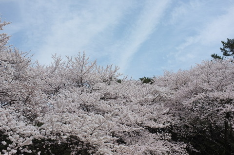 DSCF3872