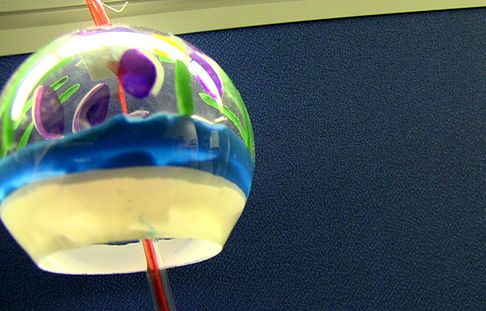 FURIN