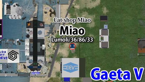 160802miao99