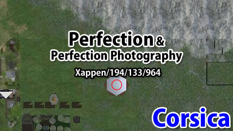 160803pp99