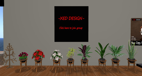 160404xedf08