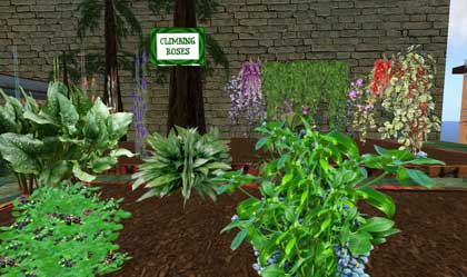 090329garden03