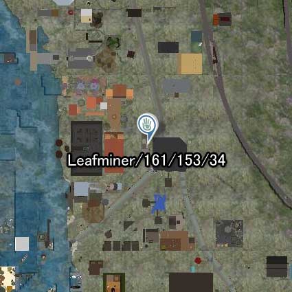 110228lhs99