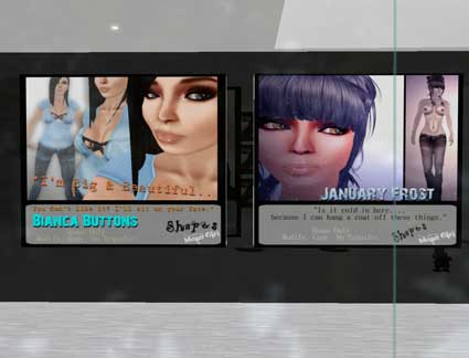 091227skin04