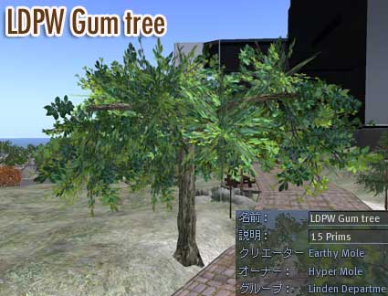 100725tree01