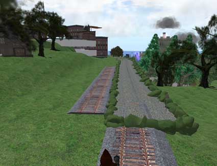100429tussock03