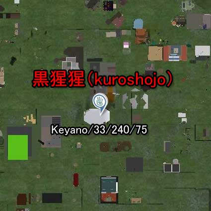 110220hd99