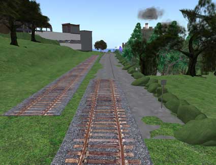 100429tussock02