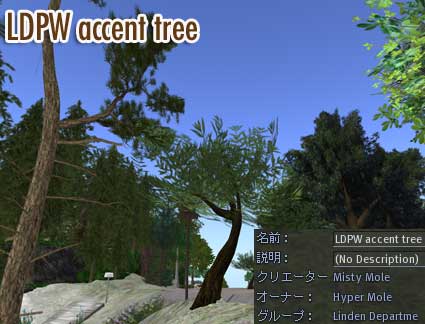 100725tree02