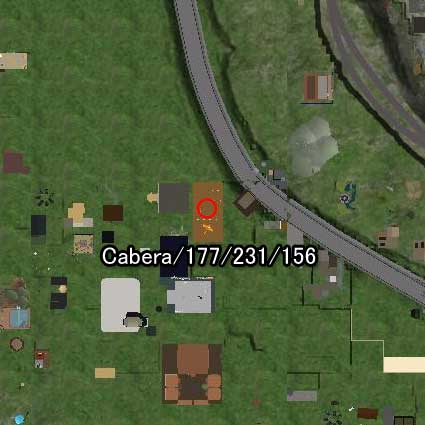 100628tiger99