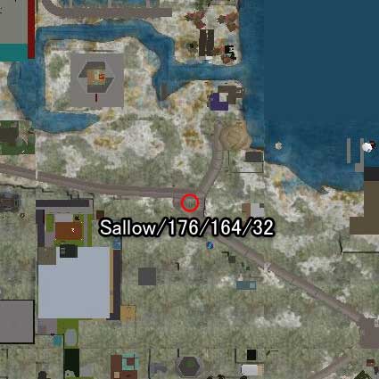 100723sallow99