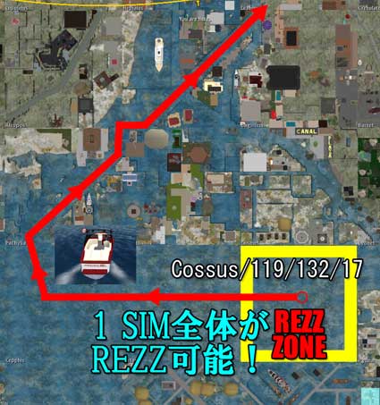100421cossus99